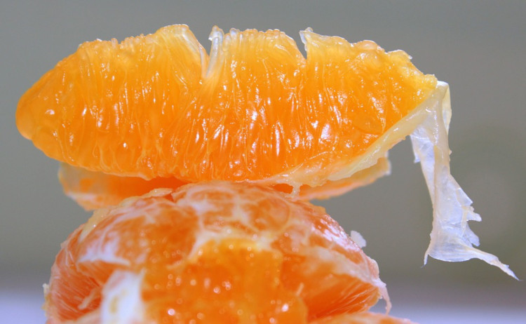 juice pulp